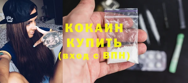 прущие грибы Абаза