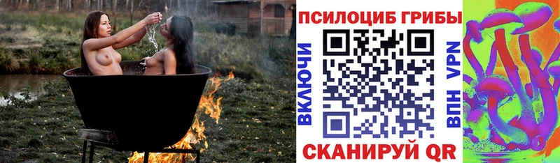 купить наркотик  Людиново  Галлюциногенные грибы мухоморы 